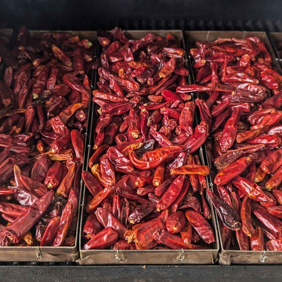 Dried red chiles packed edge to edge across the smoker trays, filling the frame.